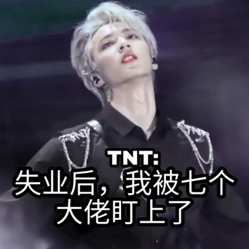 TNT:失业后，我被七个大佬盯上了10
