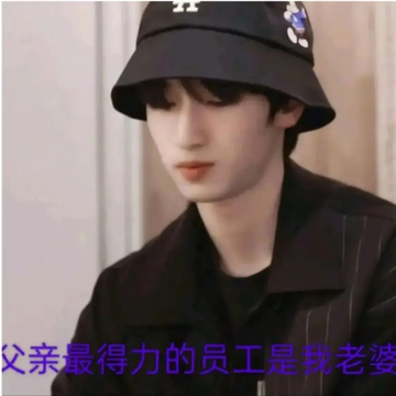 《严浩翔：父亲最得力的员工是我老婆》17