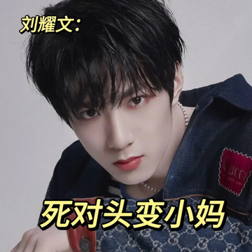 刘耀文：死对头变小妈20